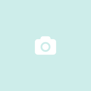 related work